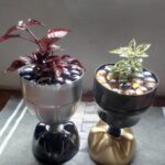 Creative Plant Pots For Sale