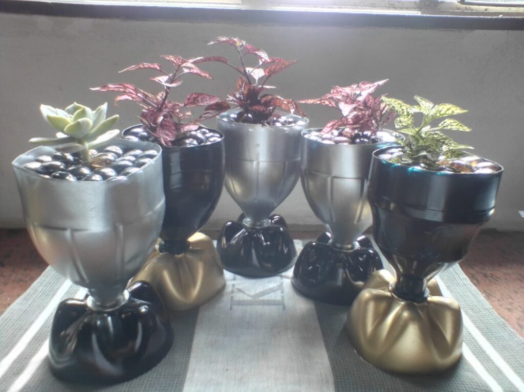 Creative Plant Pots Wholesale Price South Africa