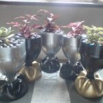 Creative Plant Pots Wholesale Price South Africa