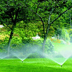 Irrigation Gardening Services, Sandton
