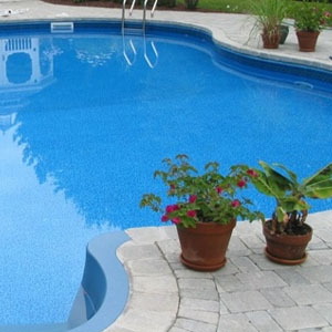 Pool Renovation Gardening Services Sandton