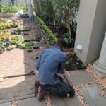 Garden Decoration Service, Johannesburg (1)