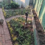 Garden Design Services Johannesburg (3)
