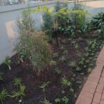 Garden Design Services, Johannesburg (4)
