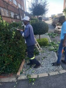 Gardening Trimming And Design Service, Johannesburg