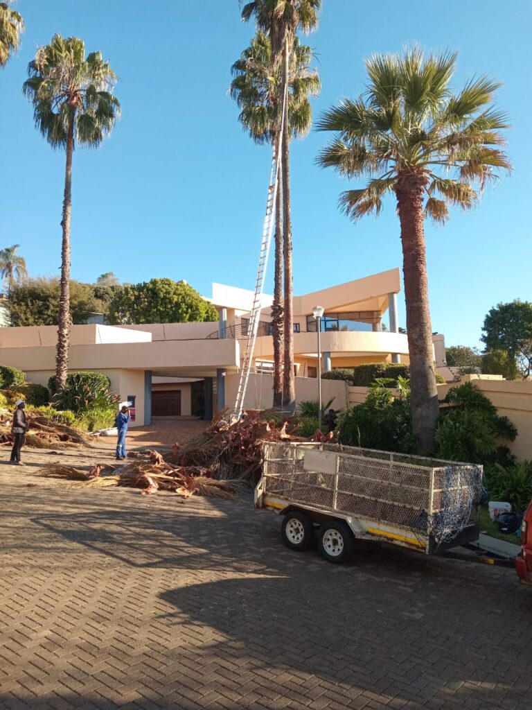 CONTACT US LANDSCAPING SERVICES JOHANNESBURG