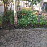 Paving Garden Design Services (2)