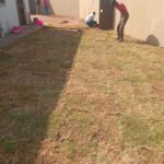 Landscaping services Sandton