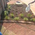 Plants and Flowers Planting services