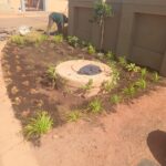 Plants and Flowers Planting services