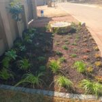 Plants and Flowers Planting services