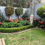 Garden Design sandton johannesburg