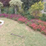 Garden design and landscapers