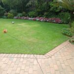 Lawn installation Johannesburg Sandton