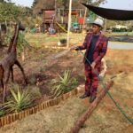 Smart Landscapers in Sandton